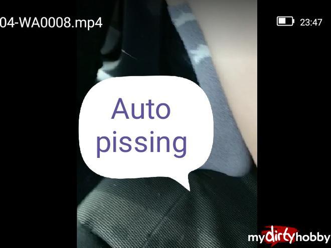 Car pissing